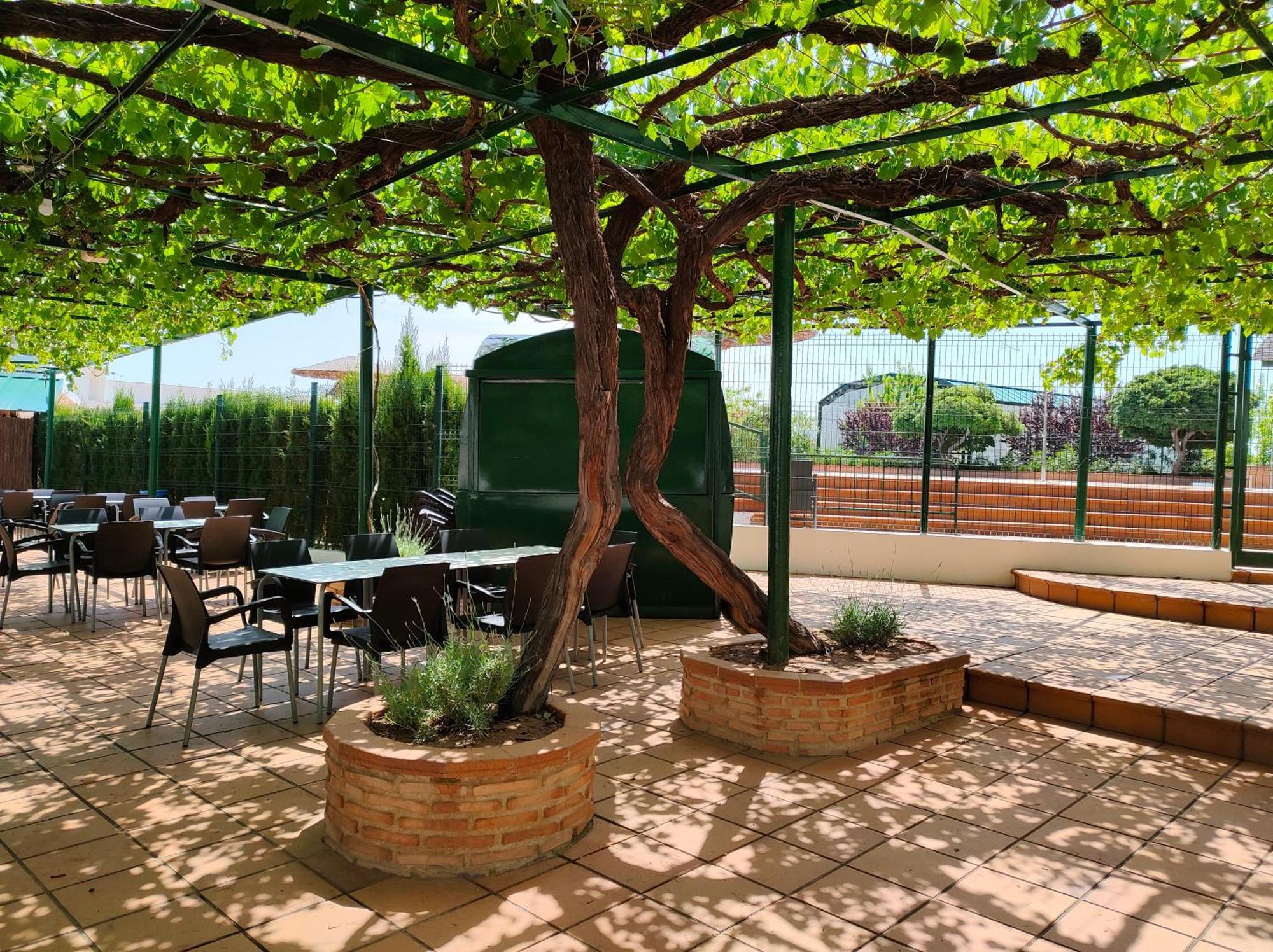 El Molino Hostal-Restaurante Jarafuel 外观 照片